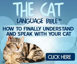 The Cat Language Bible